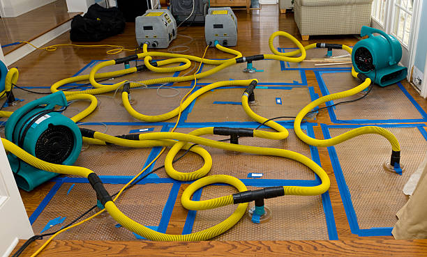 Professional Water Damage Restoration technician working in Talent, OR